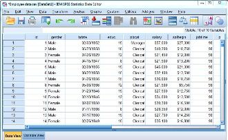 SPSS Data Analysis Services